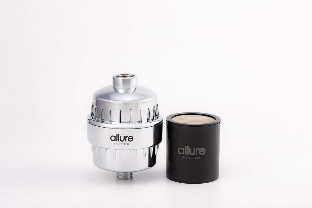 X1 Silver Starlight Filter and X 1 Shower Filter Cartridge Refill